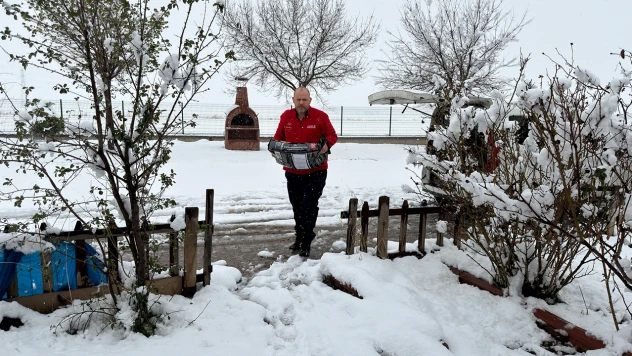 Kar esaretinin sürdüğü Kahramanmaraş'ta sokak hayvanları unutulmadı