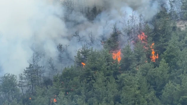 Karabük'te ormanlık alanda yeniden yangın çıktı