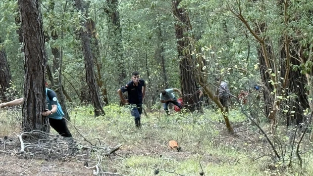 Kayalıklardan düşen kişi 4 saatlik operasyonla kurtarıldı