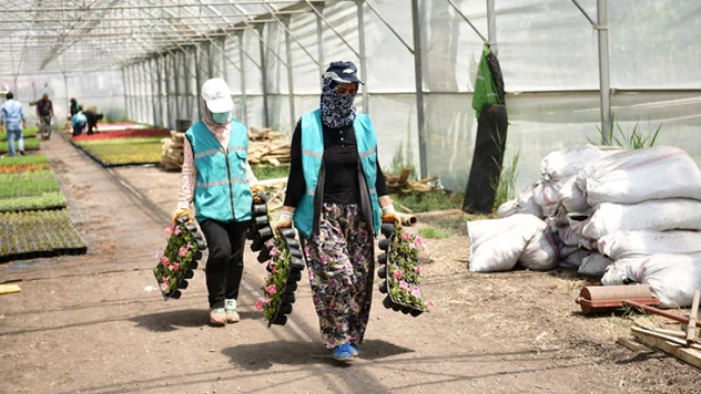 Kendi üretim tesisi ile onlarca tür bitki yetiştiriliyor