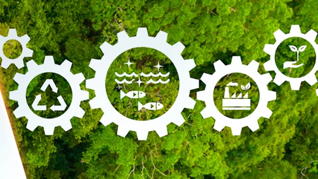 Kimyasalların yönetim sürecinde Türkiye'ye özgü model