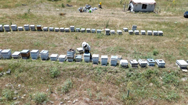 Konargöçer arıcılar bal hasadına hazırlanıyor