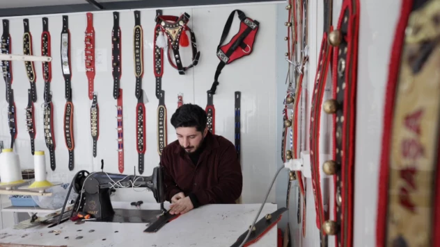 Konteynerde ürettiği köpek tasmalarını 20'den fazla ülkeye ihraç ediyor