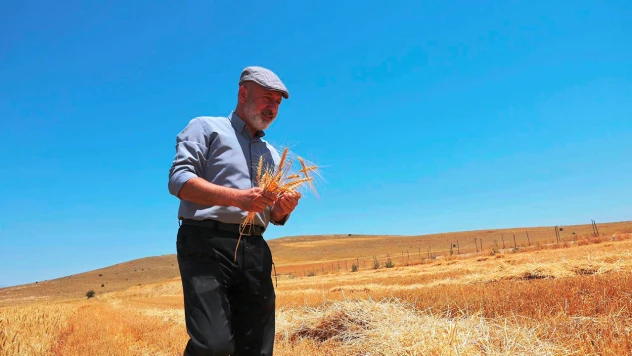 Köyümde Hayat Var projesiyle desteklenen çiftçiler hasada başladı