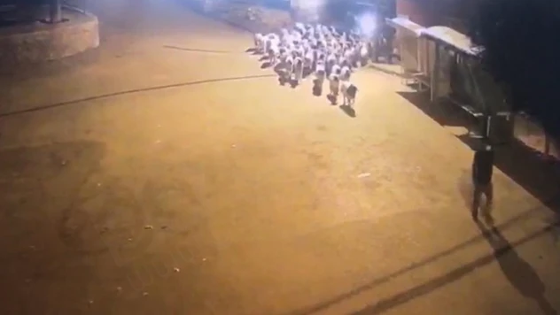 Koyun çaldıkları iddia edilen 2 kişi tutuklandı