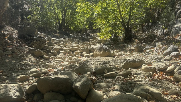 Kuraklık, Yaka Kanyonu'nda vurdu