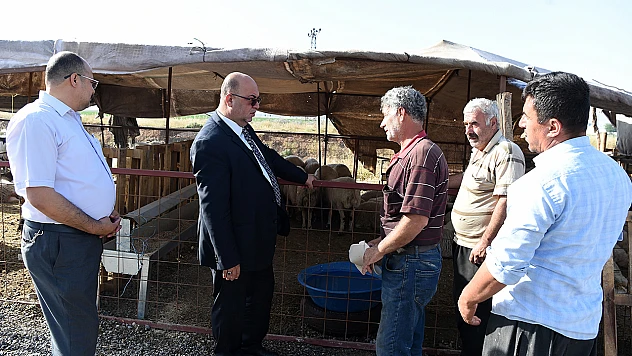 Kurban Bayramına son iki gün!