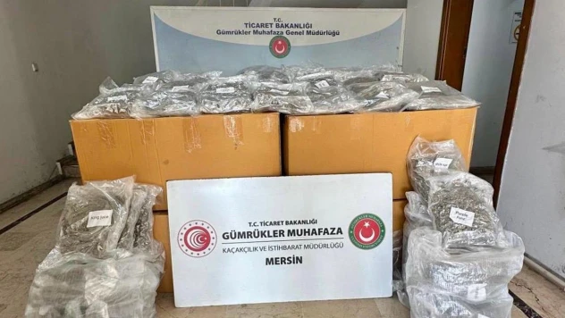 Limanı'ndaki konteynerde 587 kilogram esrar ele geçirildi