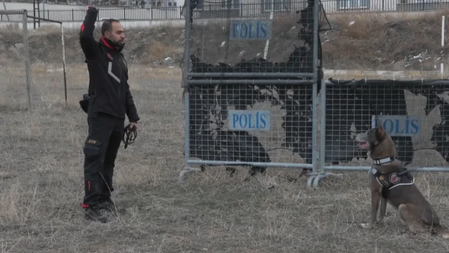 Melo depremden cinayete ekiplerin iz sürücüsü
