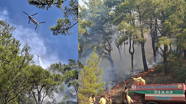 Mersin'de orman yangını çıktı