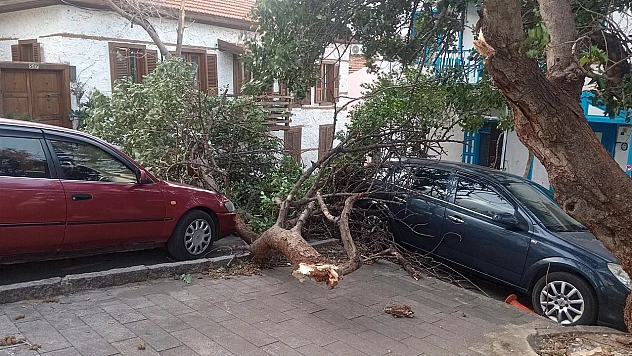 Meteorolojiden kuvvetli fırtına uyarısı!