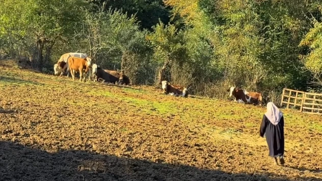Metropolde köy hayatı