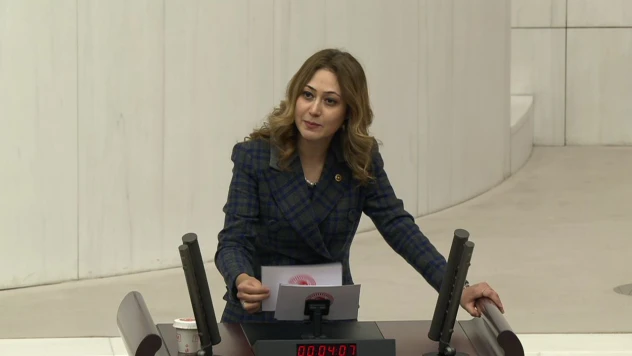 MHP'li Vekil, TBMM'de Kahramanmaraş'ın sesi oldu