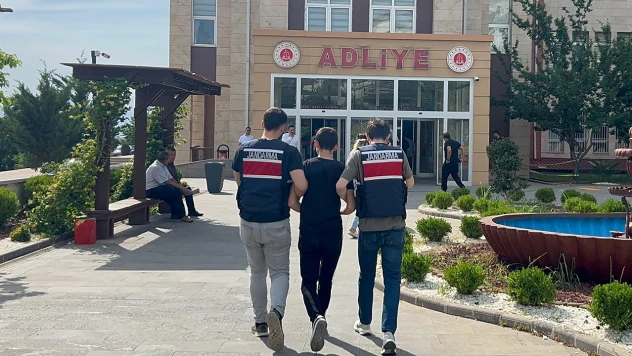 Motosikletin arkasına bağladığı köpeği metrelerce sürükledi