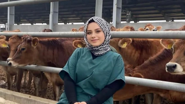 Müziğin sihri ahırda! Gürdal Çiftliği'nde inekler klasik müzikle daha verimli