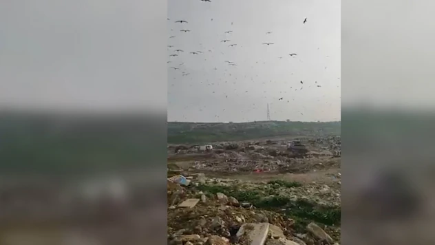 O belediyeye vahşi çöp depolama cezası verildi