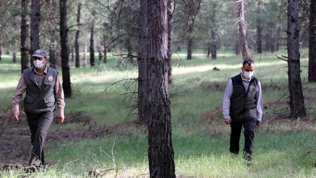 Orman personeli, 1 Mayıs'ı ormanları koruyarak geçiriyor