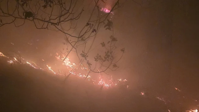 Ormanlık alanda yangın çıktı