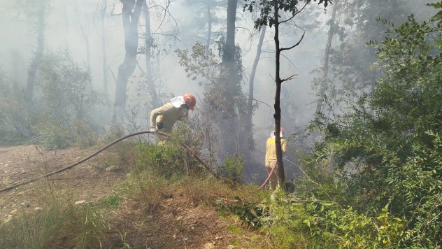 Osmaniye'de orman yangını başladı