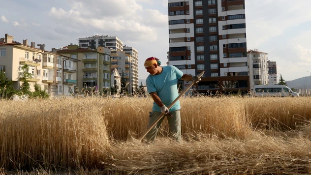 Özlem duyduğu köy hayatını kent merkezindeki binaların arasında yaşıyor