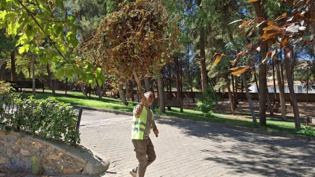 Parklar temizleniyor, doğa yeniden nefes alıyor