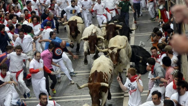 İspanyada Boğa Koşusu Yapıldı
