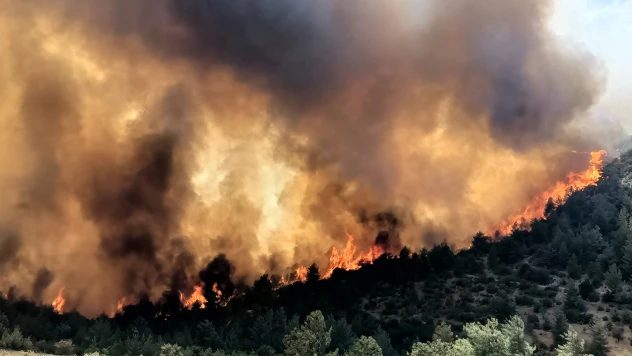 Rüzgarın etkisiyle büyüyen yangın nedeniyle 3 mahalle tahliye ediliyor