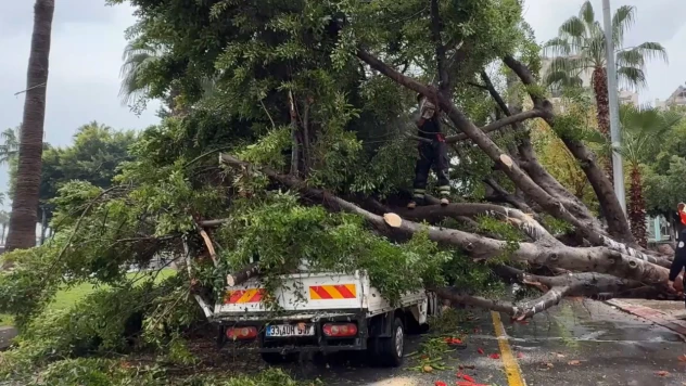 Rüzgarın etkisiyle devrilen ağaç seyir halindeki araçlara zarar verdi