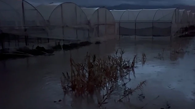 Sağanak ve hortum seralara zarar verdi