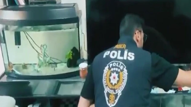 Siber suçlarla mücadele kapsamında 5 günde 170 şüpheli yakalandı