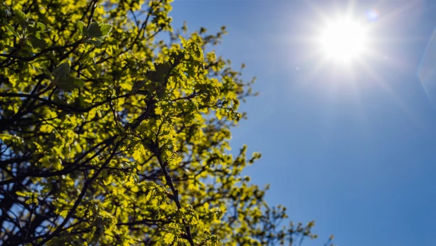 Sıcaklık bu hafta da mevsim normallerinin üzerinde seyredecek