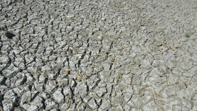 Tahtaköprü Barajı'nda kuraklık alarmı