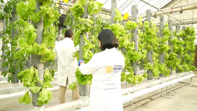 TENMAK'ın laboratuvar çalışmaları dikkat çekiyor