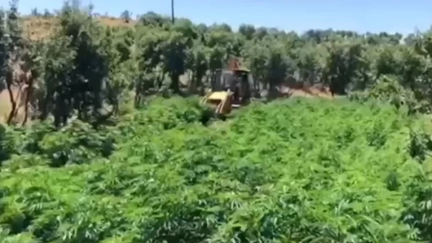 Terör örgütlerine 11 Milyar TL'lik darbe