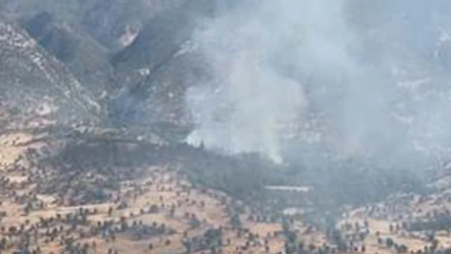 Terör örgütü PKK ormanları yakarak gizlenmeye çalışıyor