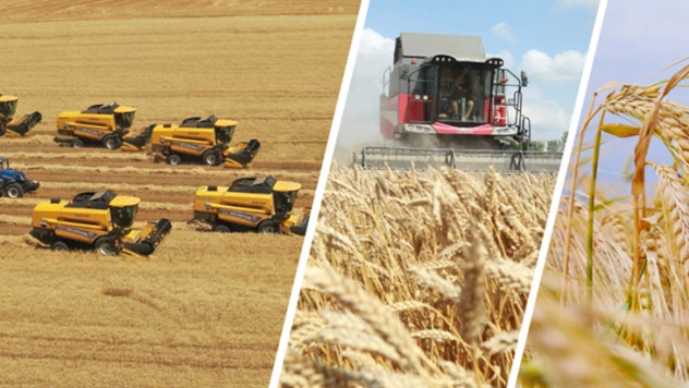 TİGEM işletmelerinden hasat rekoru