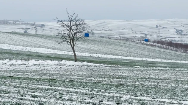 Trakya'da kar yağışı tarım arazilerine can suyu oldu