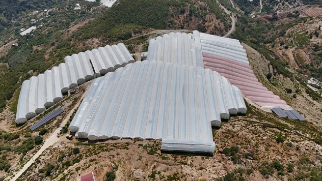 Tropikal meyve bahçelerinde enerji maliyetlerini düşüren yatırım