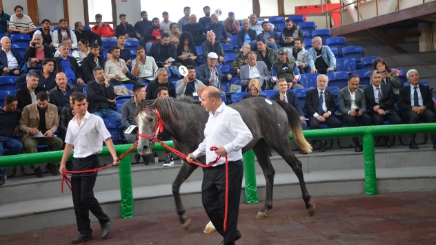 Tüm zamanların rekoru kırıldı