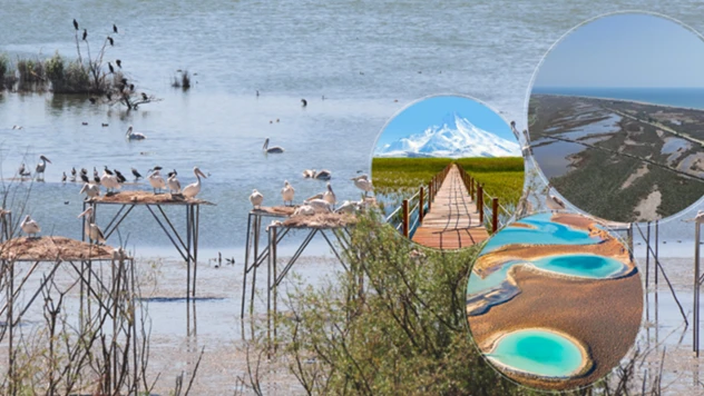 Türkiye'de 131 sulak alan koruma altına alındı