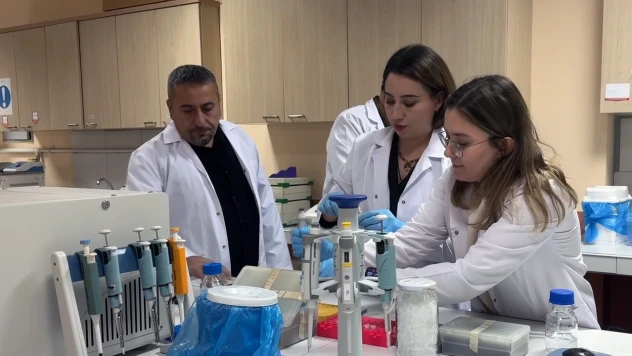 Türkiye'de kör köstebeğin 3 yeni türü keşfedildi