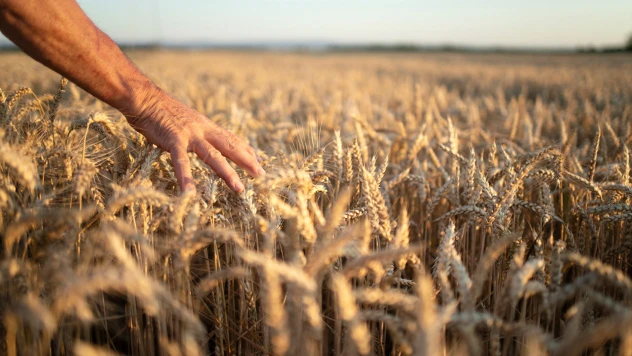 Türkiye'de tarım alanında 2025 böyle geçti