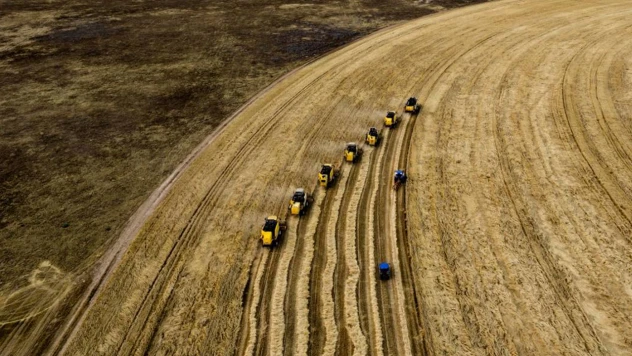 Türkiye'nin hububat ve bakliyat ihracatı yüzde 4,2 arttı
