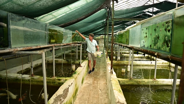 Türkiye'nin önde gelen balık üretim tesisi