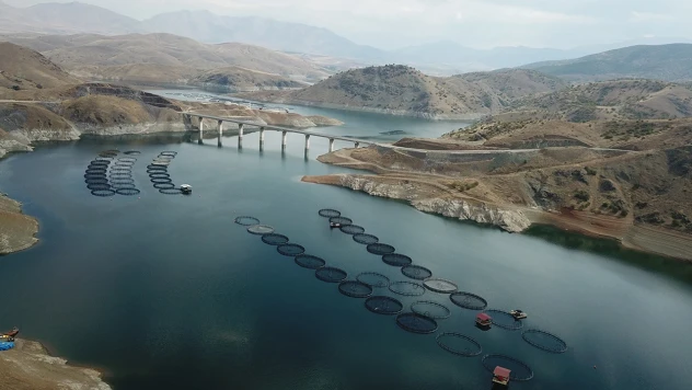 Türkiye, su ürünleri yetiştiriciliğinde Avrupa'da 2'ncii, dünyada da 17'nci