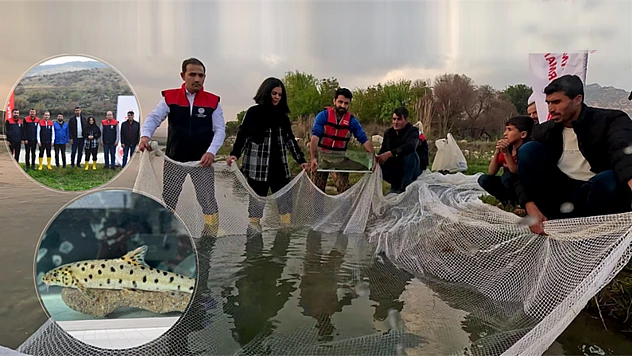 Türkiye sularında leopar sazanı tespit edildi