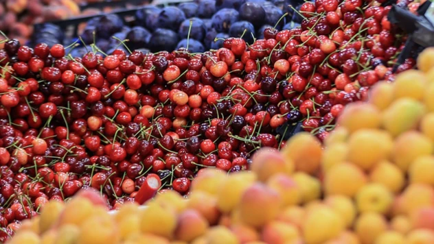 Türkiye tarımda 7 üründe dünya lideri