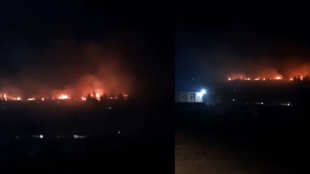 Türkoğlu'nda orman yangını