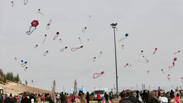 Uçurtmalar gökyüzünü renklendirdi