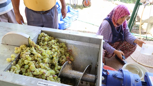 Üreticilere üzüm sıkma makinesi desteği